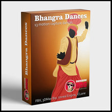 Load image into Gallery viewer, 13 Bhangra Dances
