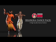 Load and play video in Gallery viewer, 13 Bhangra Dances
