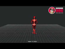 Load and play video in Gallery viewer, Mocap Ballet Set 2
